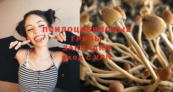 скорость Баксан