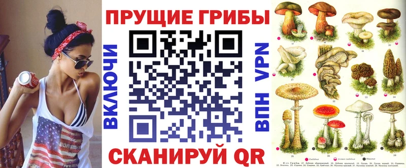 Псилоцибиновые грибы мухоморы  закладки  Вяземский 